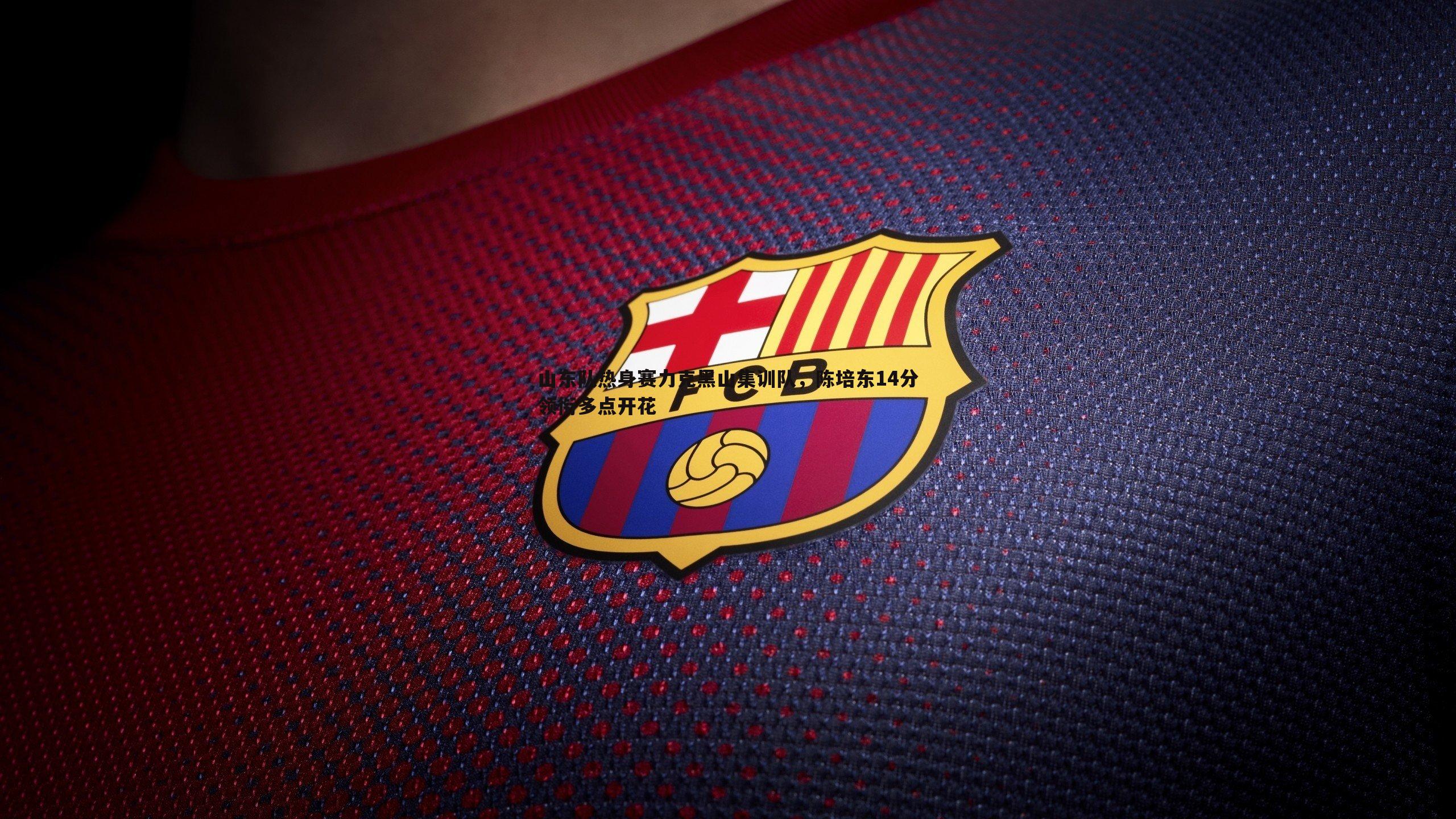 山东队热身赛力克黑山集训队，陈培东14分领衔多点开花